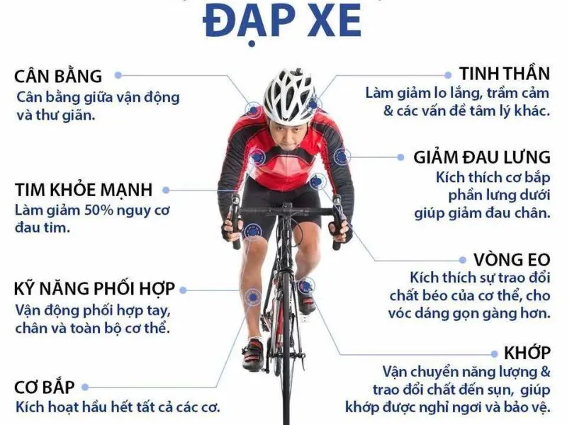 Đạp xe giúp tăng cường năng lượng cho não và kiểm soát bệnh tiểu đường