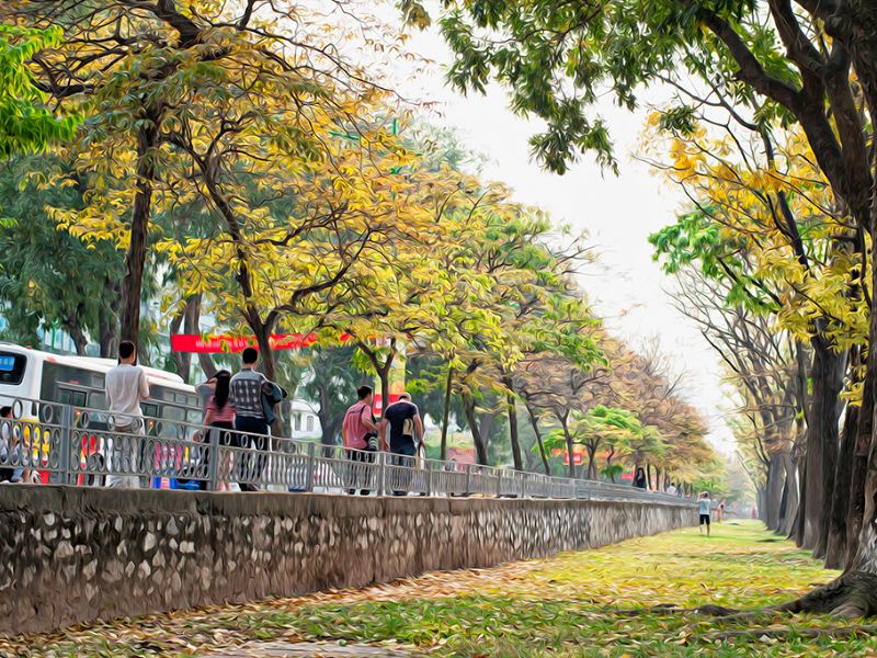 Những cung đường tình yêu ở Hà Nội – Kim Mã – Hoàng Diệu – Phan Đình Phùng