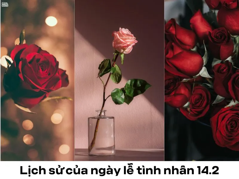 lời chúc valentine hay