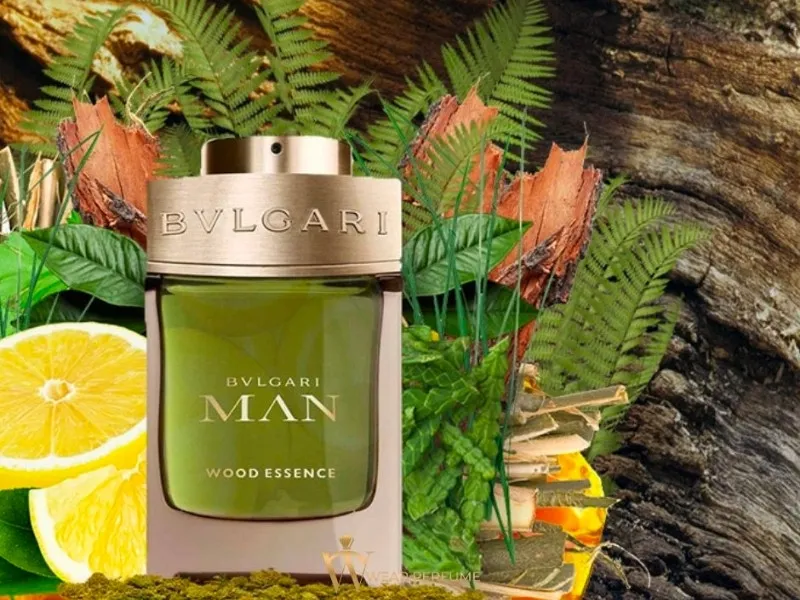 Nước hoa Bvlgari Man Wood Essence