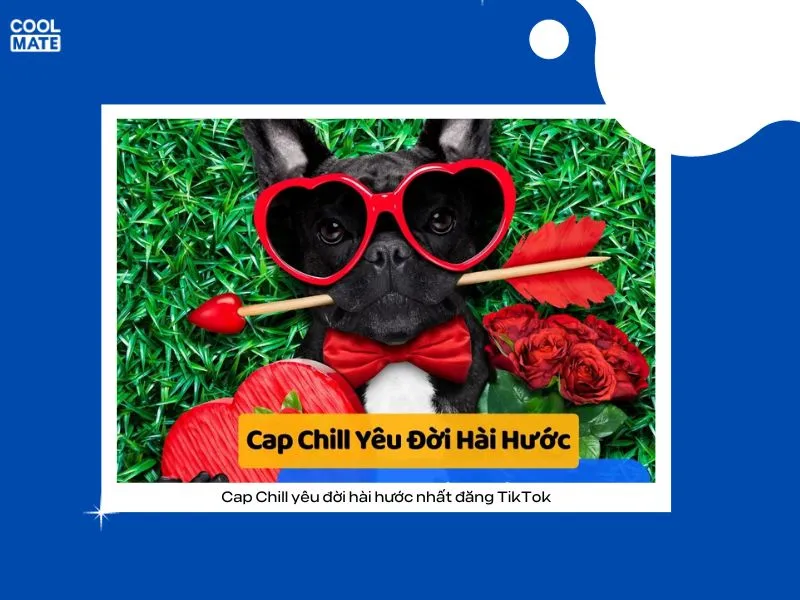 Cap chill yêu đời hài hước đăng Tiktok siêu cool ngầu