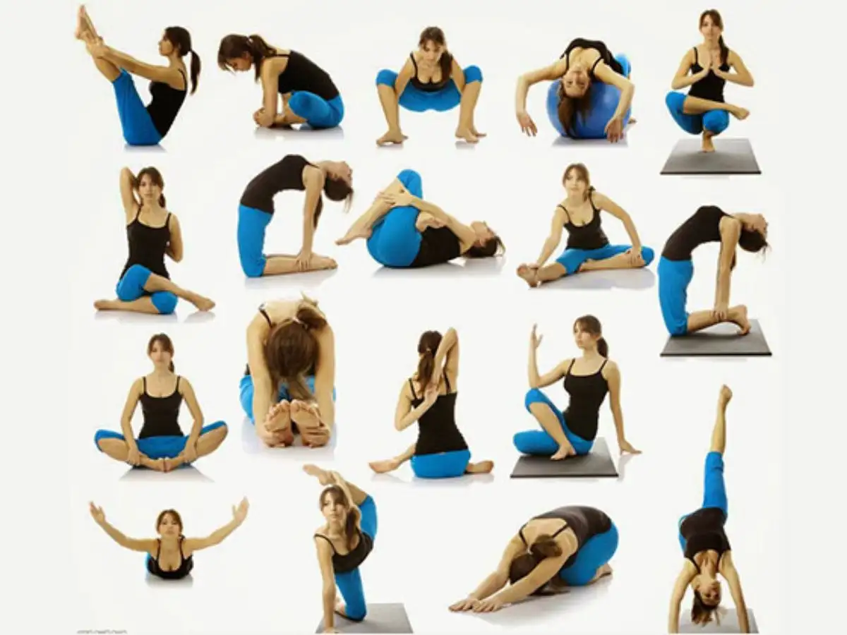 Các tư thế ngồi yoga phổ biến