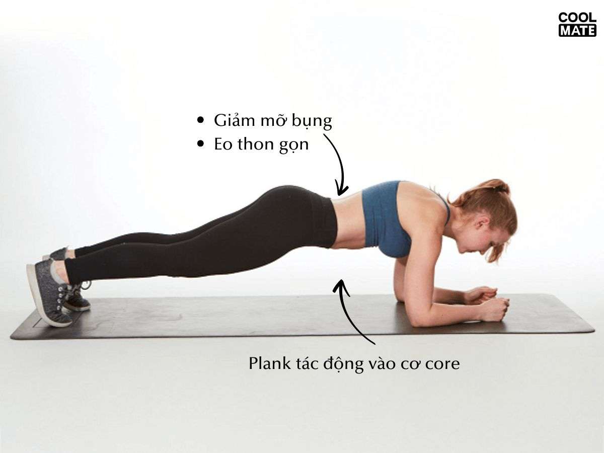 Plank giúp giảm mỡ bụng