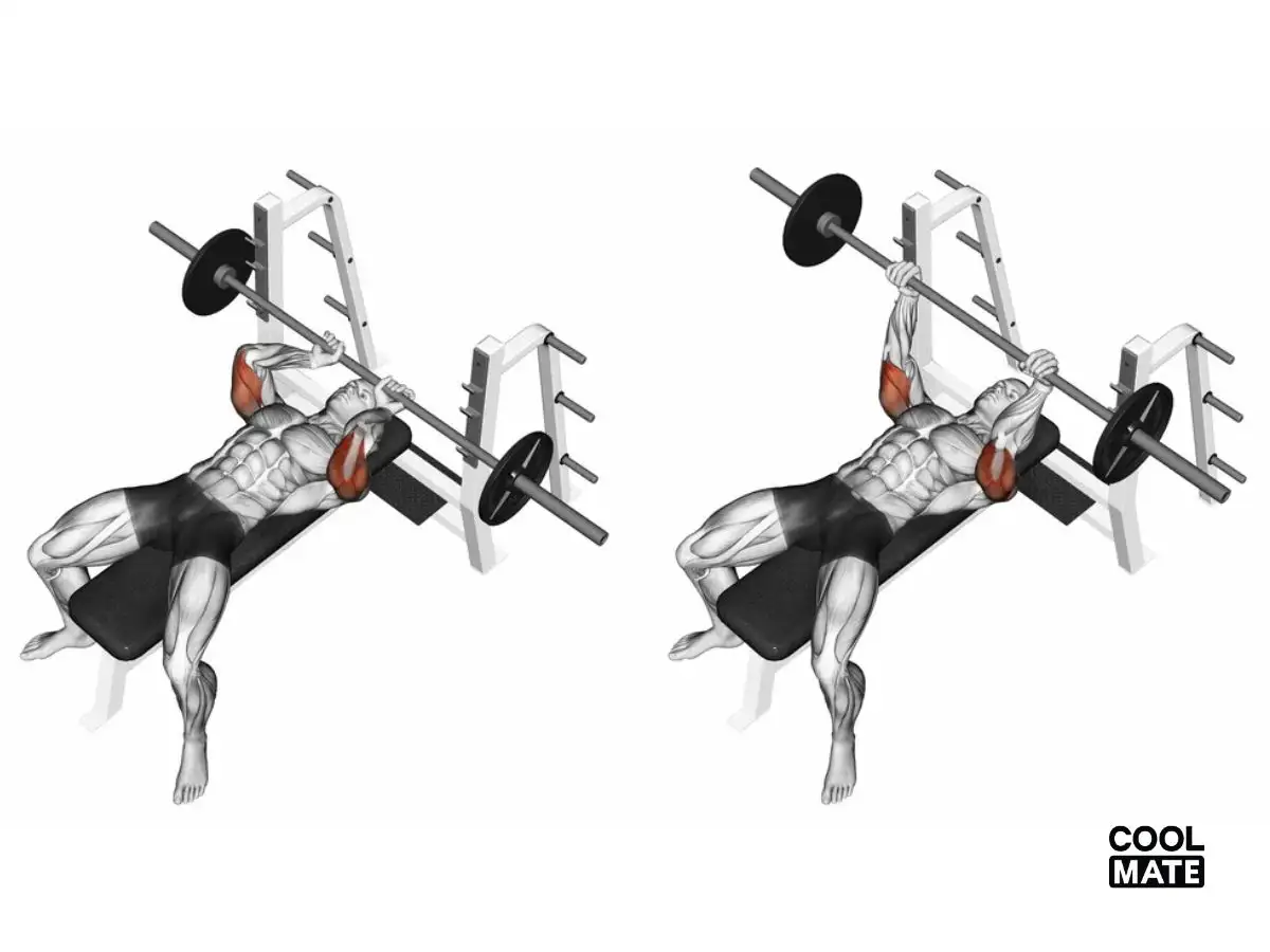 bài tập Bench Press