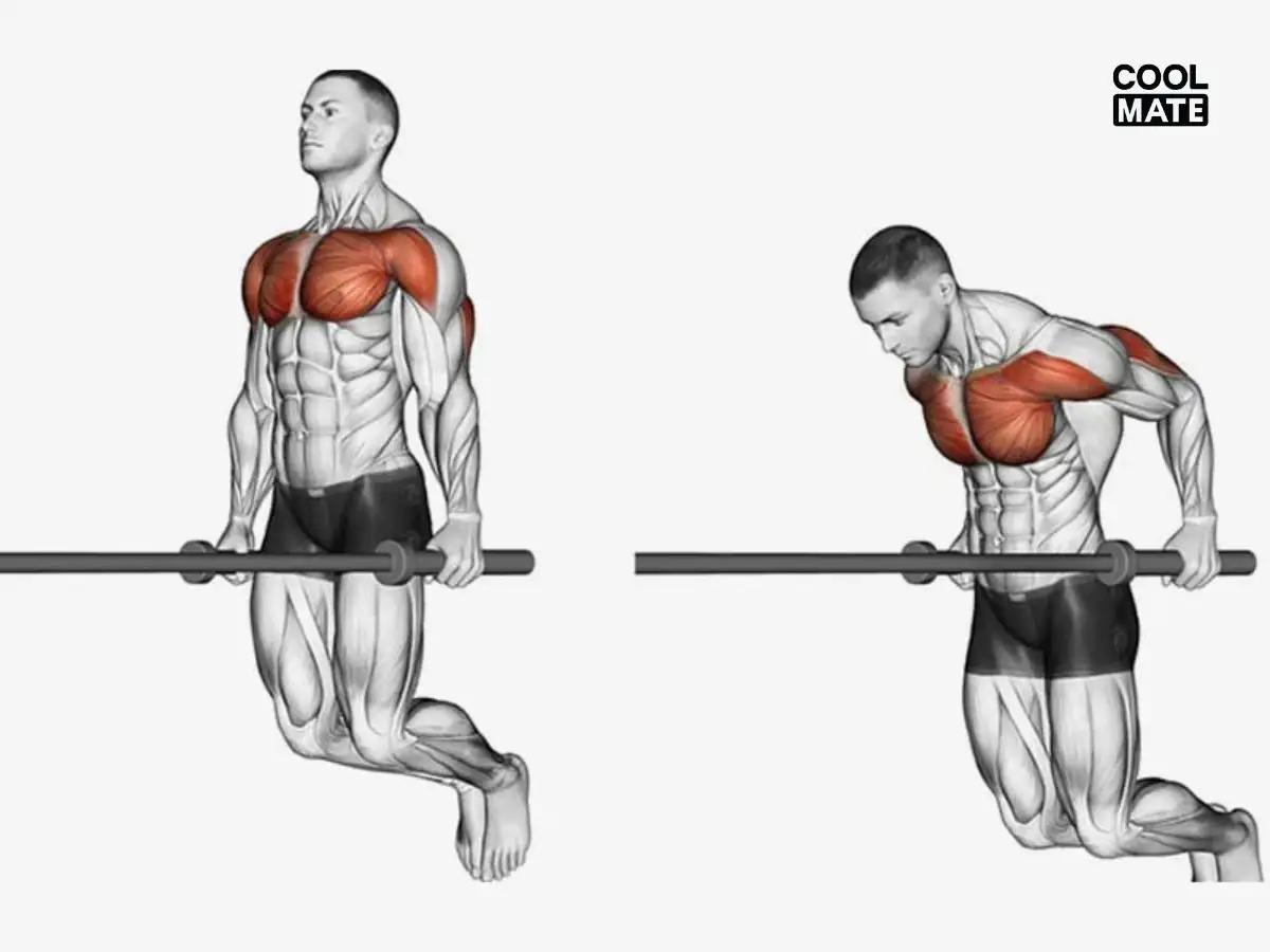 Thực hiện bài tập Chest Dips