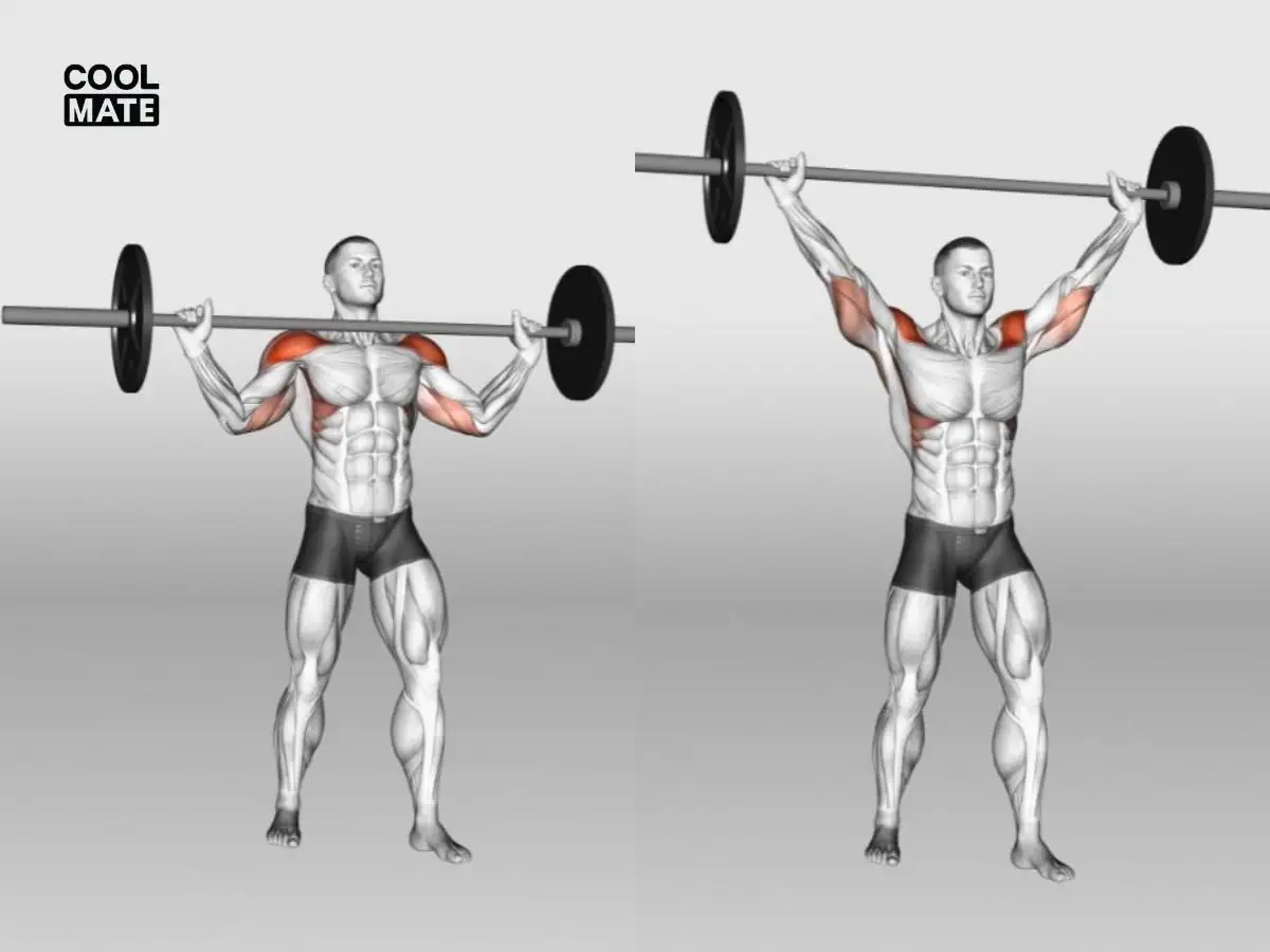 Thực hiện bài tập Overhead Press