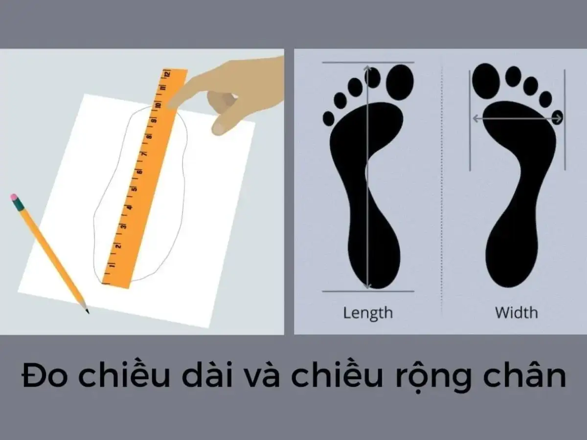 Có thể dễ dàng đo size chân ngay tại nhà