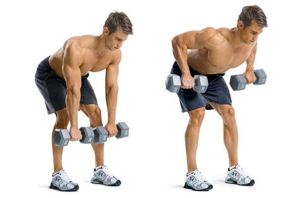 Bài tập gym tại nhà cho nam này thuộc nhóm tập cơ lưng giữa, cơ xô và cơ tay trước