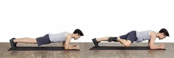 Nếu bạn muốn đốt cháy mỡ bụng nhanh chóng thì Plank là lựa chọn hoàn hảo