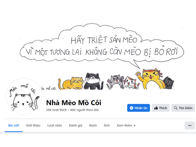 Nhà mèo mồ côi