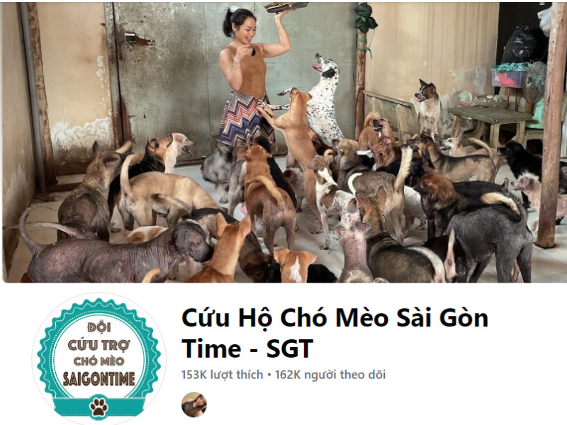 Cứu hộ chó mèo Sài Gòn Time