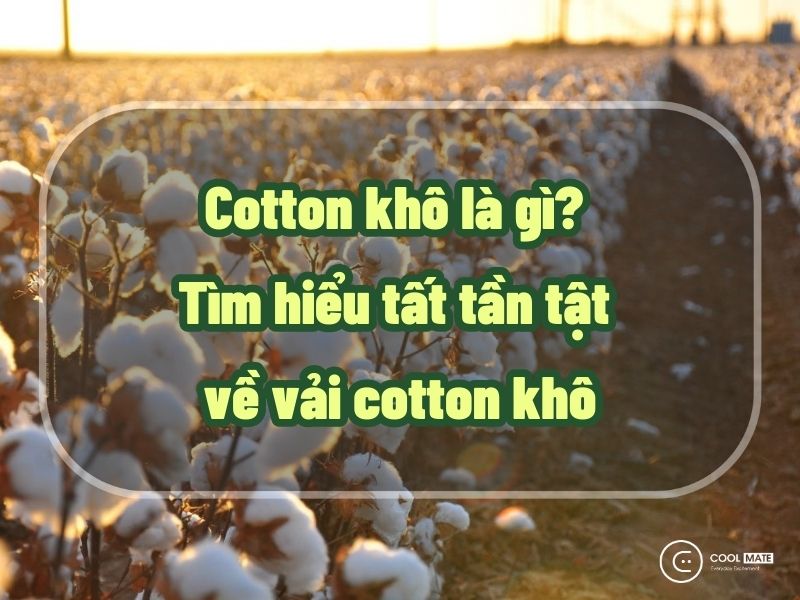 cotton-kho-la-gi-2113