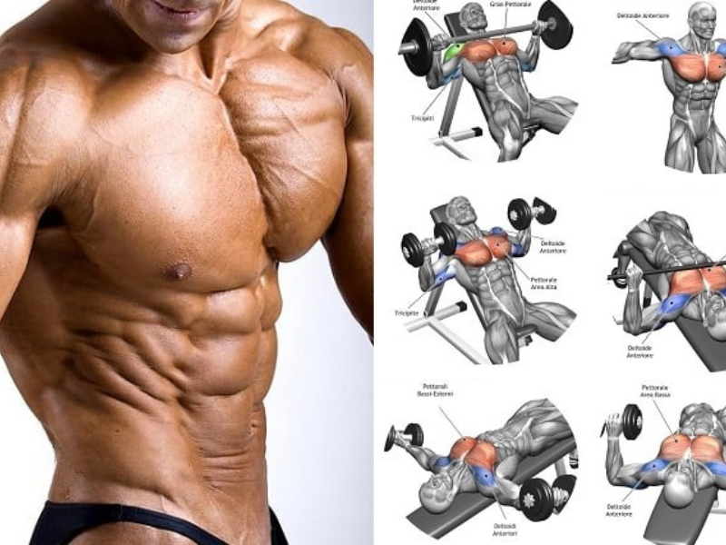 Các gymer lâu năm hay các HLV đều có chung cách hít thở khi tập gym ở phần cơ ngực là dùng lực nặng thì thở ra và nhẹ thì hít vào