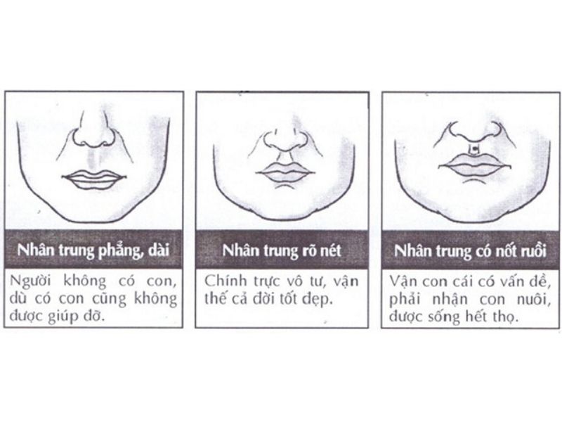 Dáng đẹp của nhân trung là gì? (Ảnh: chamsocxehoi.org)