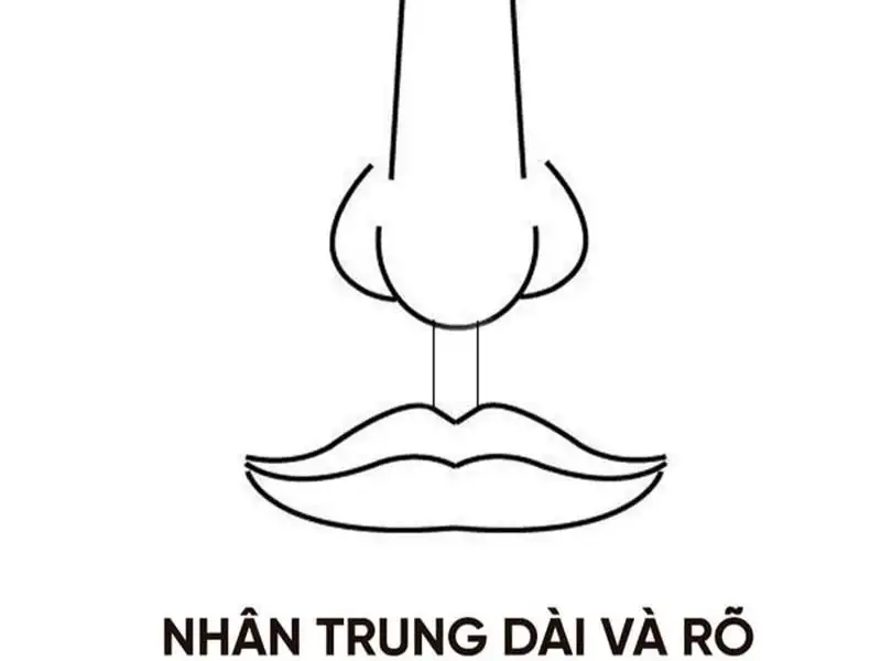 Nhân trung dài, rộng, sâu