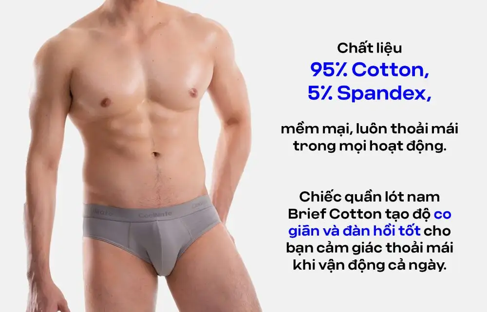 Chất liệu Cotton Compact cao cấp