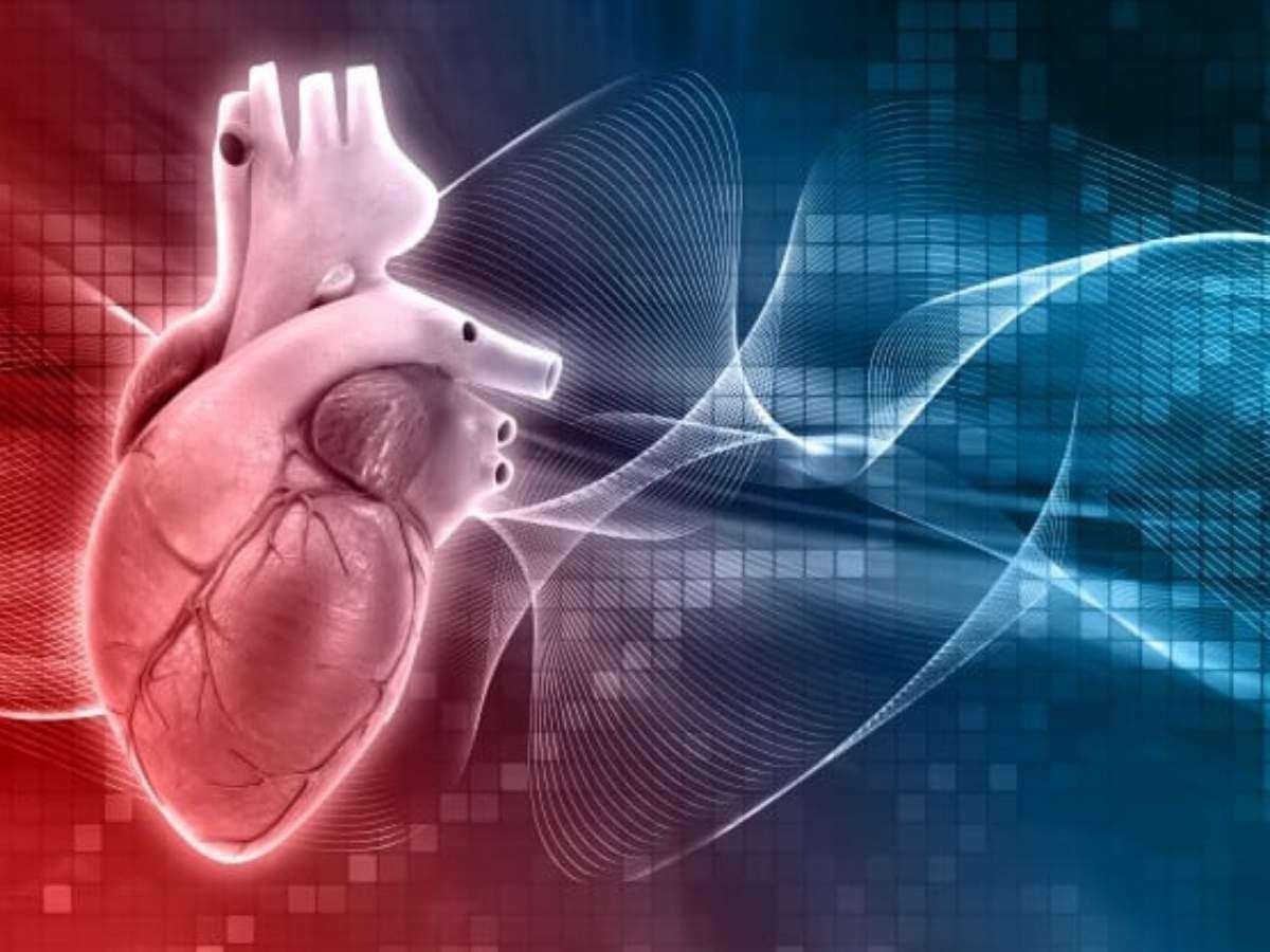 Chạy bộ giúp tim khỏe hơn, giảm nhịp tim nghỉ và cải thiện tuần hoàn máu
