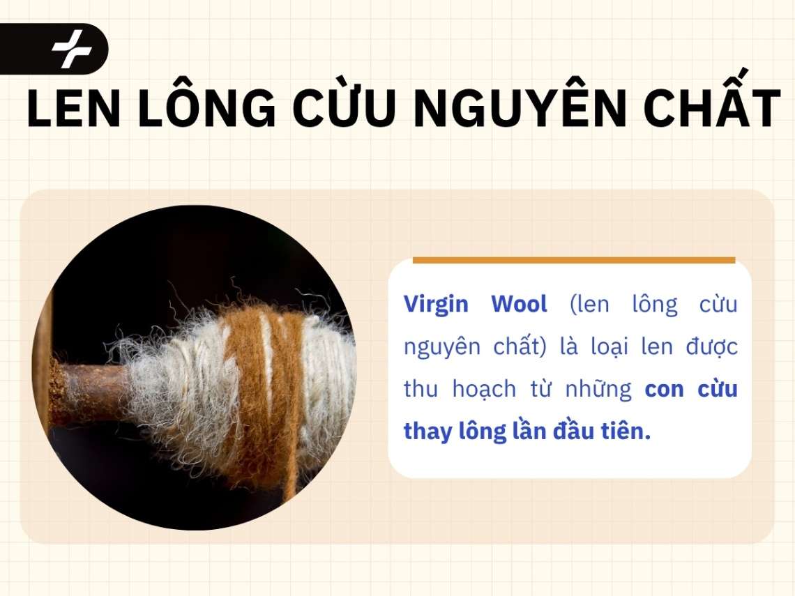 len lông cừu nguyên chất