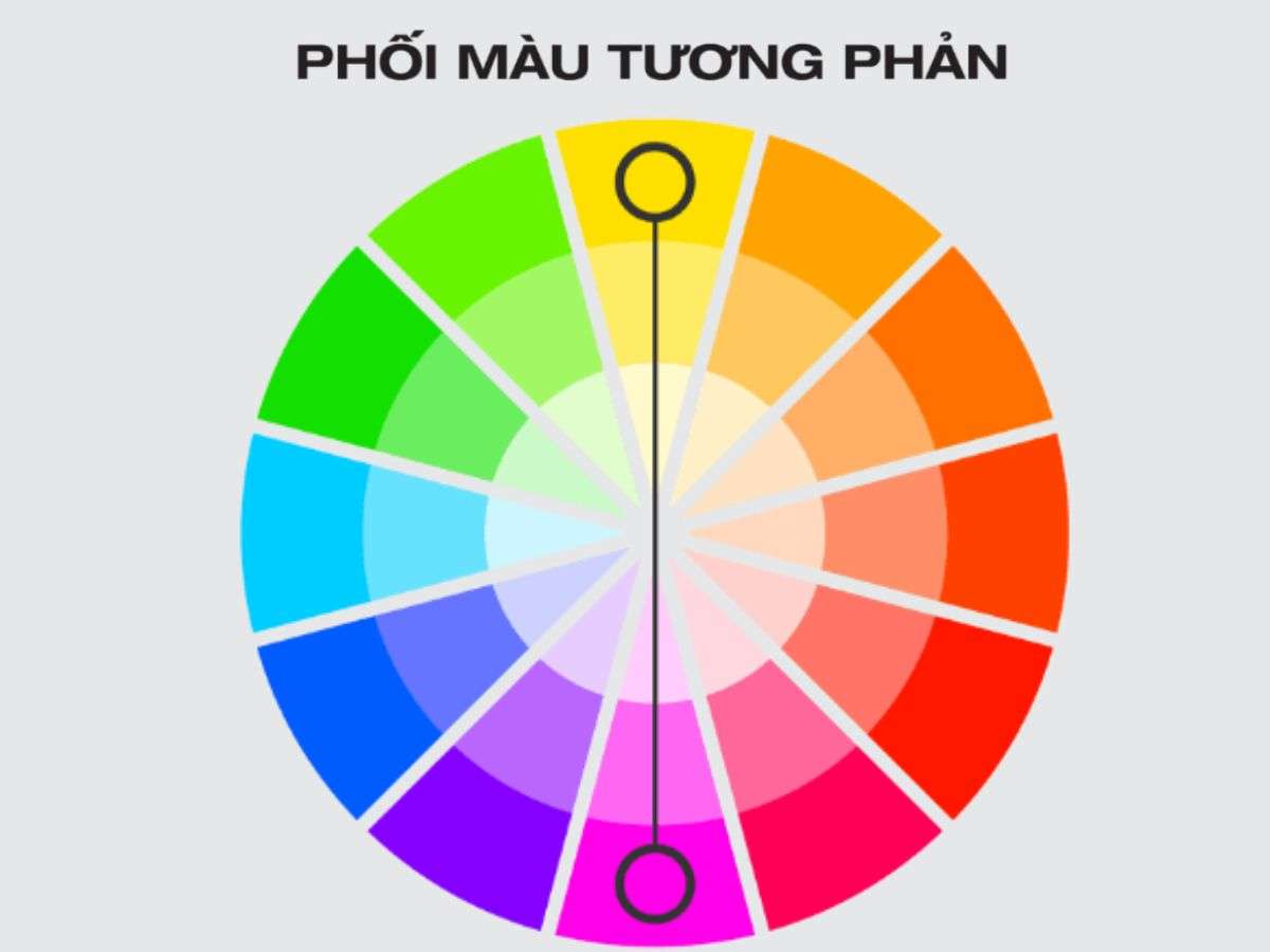 Nguyên Tắc Phối Màu Quần Short Đỏ Cơ Bản 