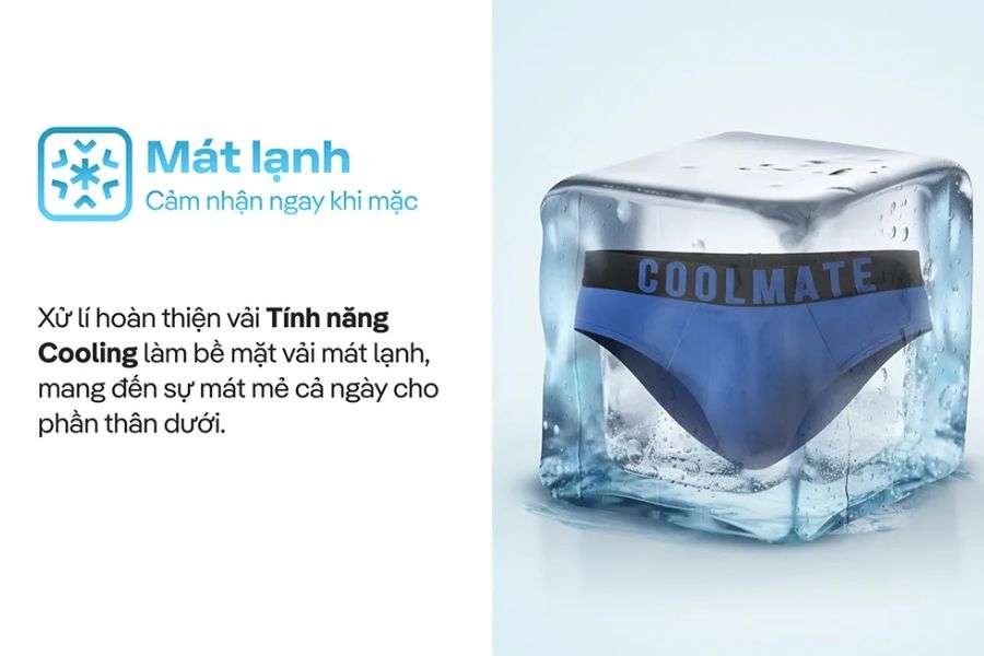 Quần Lót Nam Brief, dáng cổ điển, ôm gọn, hỗ trợ tối ưu