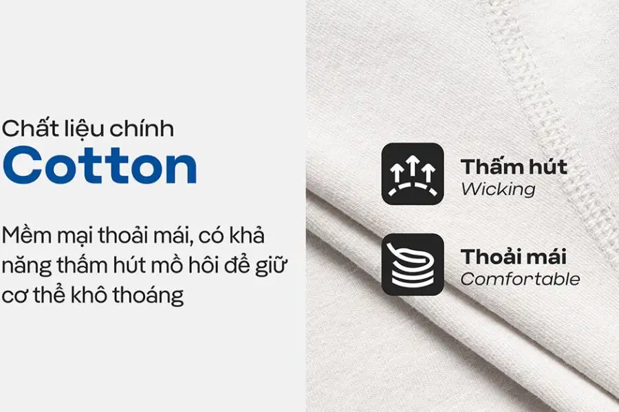 Đai lưng co giãn, đường may phẳng, combo 5 tiện lợi, thoải mái
