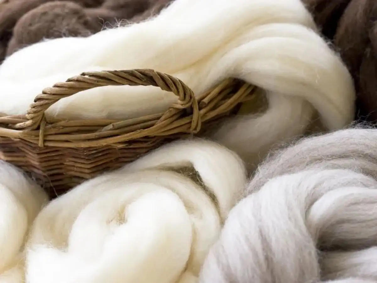 Vải Len (Wool) - Ông hoàng ấm áp tự nhiên