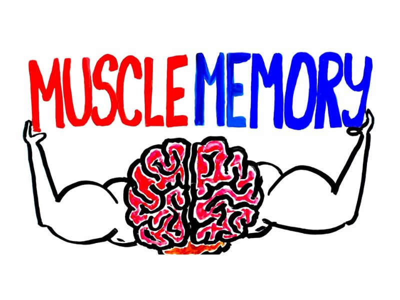Muscle Memory là gì? Nó chính là trí nhớ cơ bắp hay ký ức cơ bắp