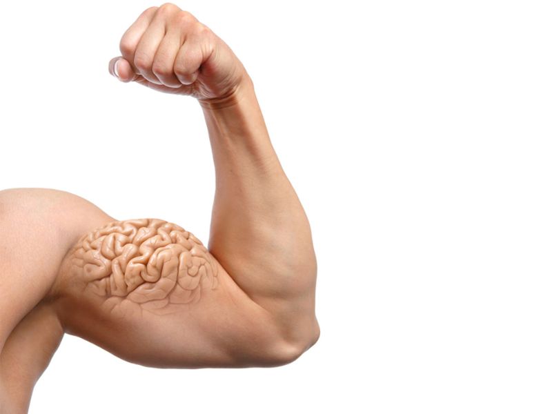Sự thật về Muscle Memory là gì?