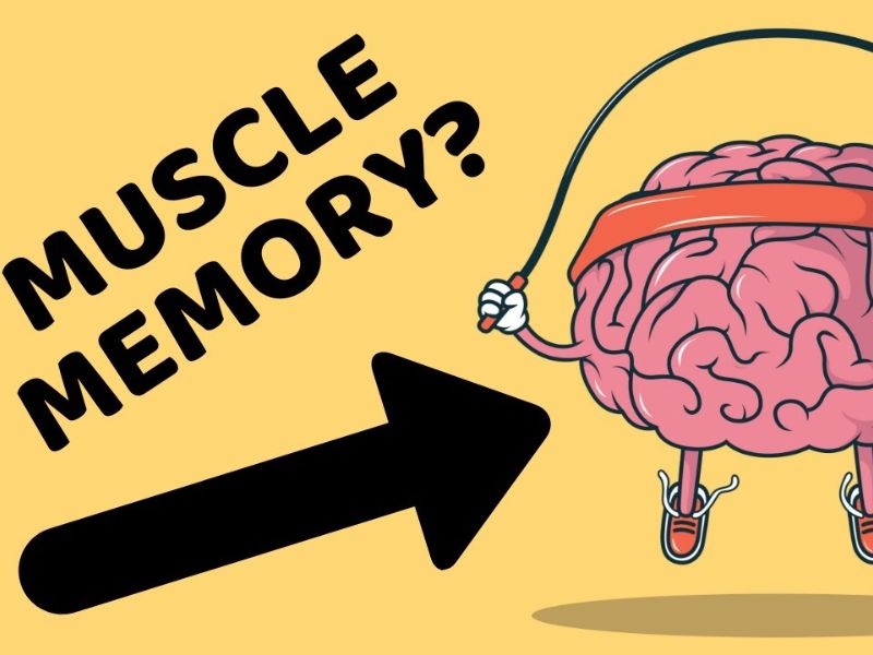 Muscle Memory là gì? Ký ức cơ bắp đem lại lợi ích gì?