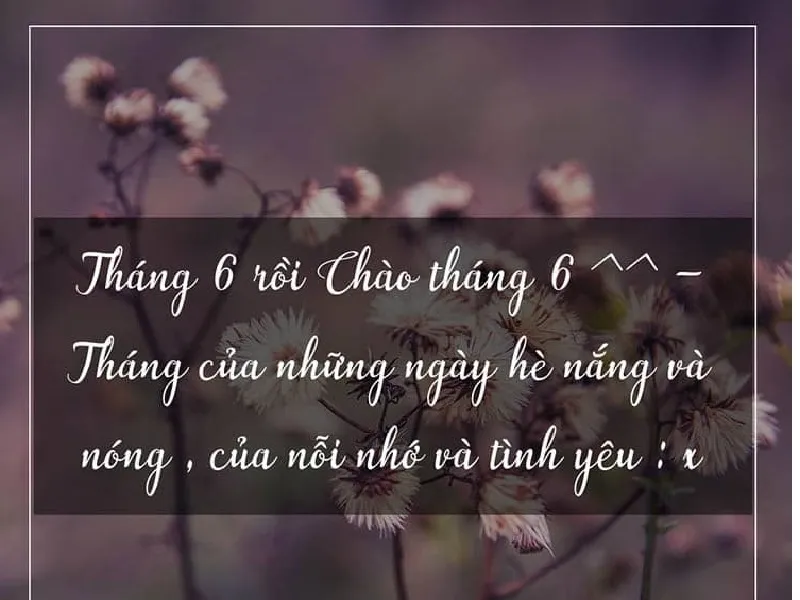 Những vần thơ tháng 6 nhẹ nhàng