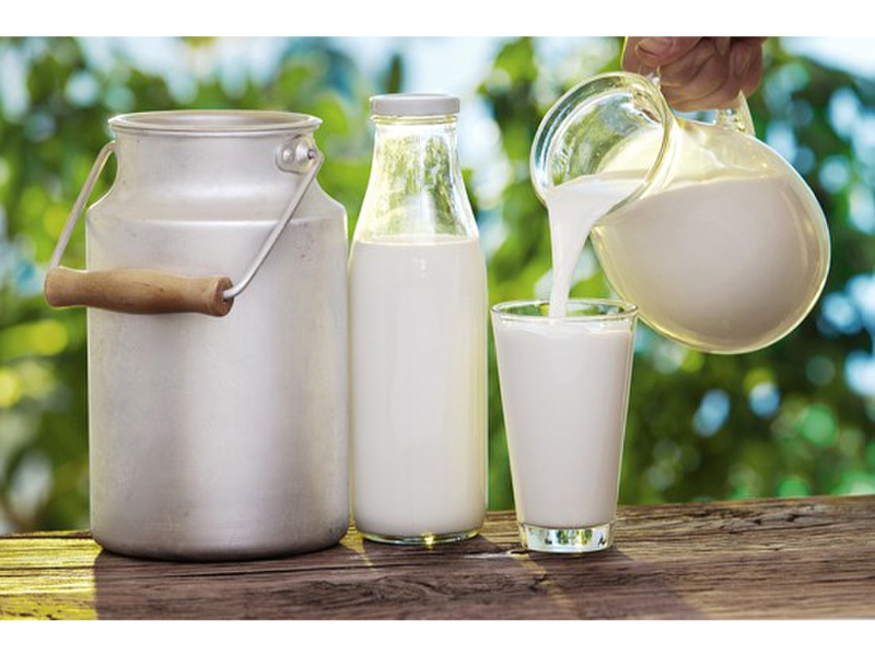 Những sản phẩm từ sữa ít béo có thể đóng vai trò quan trọng trong việc cung cấp protein chất lượng cao, tinh bột và các vitamin