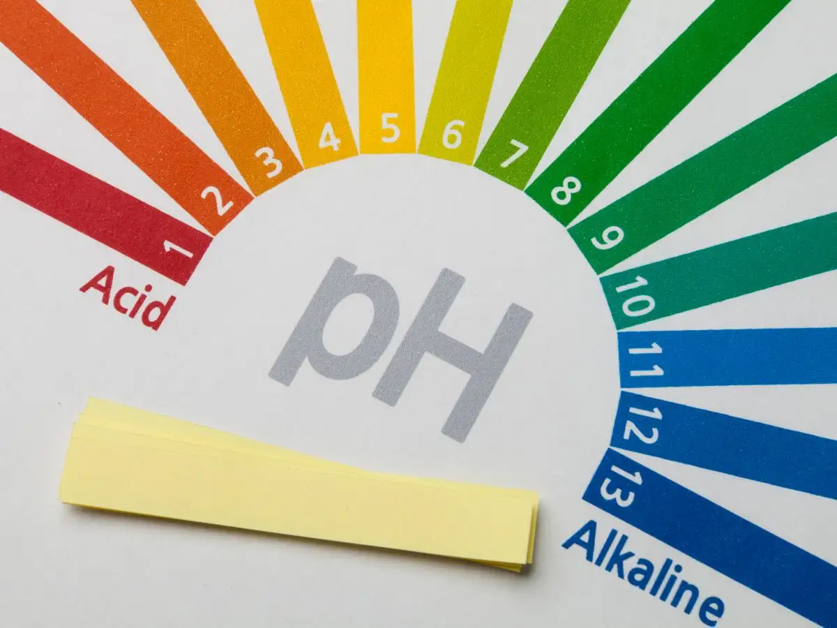 Độ pH của sản phẩm rất quan trọng, đặc biệt với L-Ascorbic Acid (LAA)