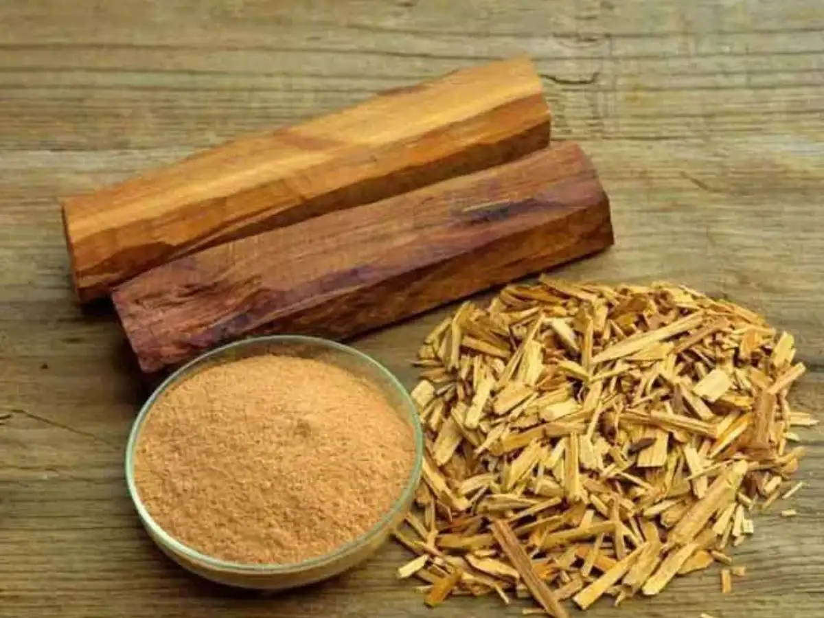Một số nhóm hương chính như Woody, Spicy, Oriental