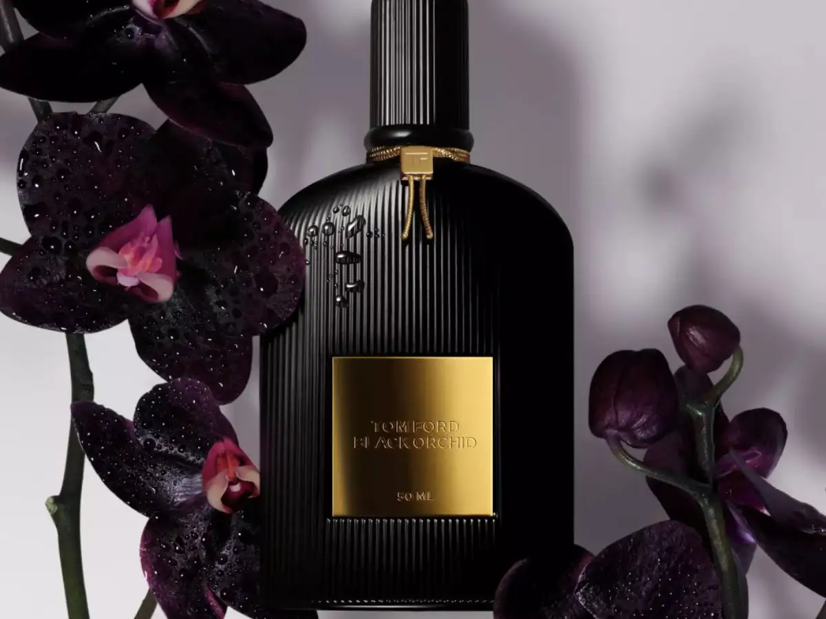 Nước hoa Tom Ford Black Orchid với mùi hương sang trọng, gợi cảm