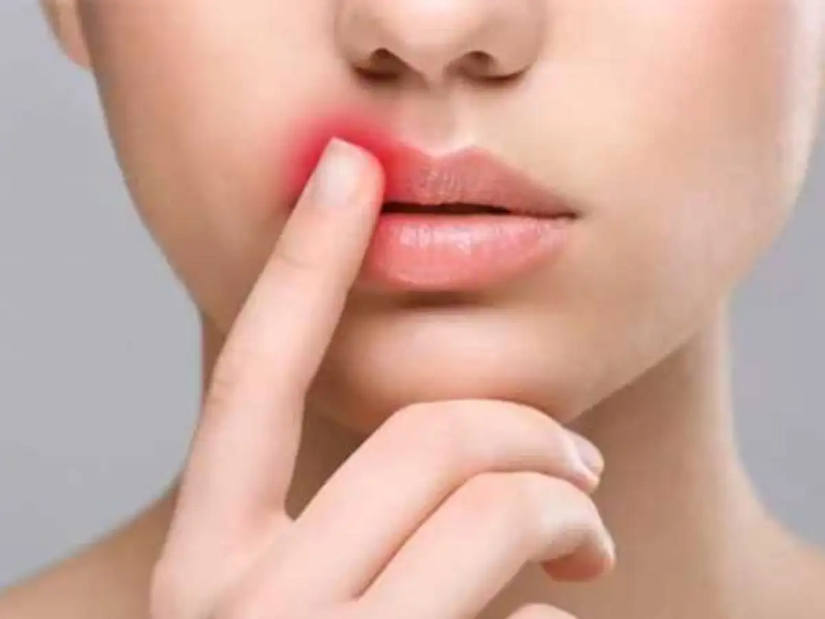 Các thành phần nên tìm kiếm