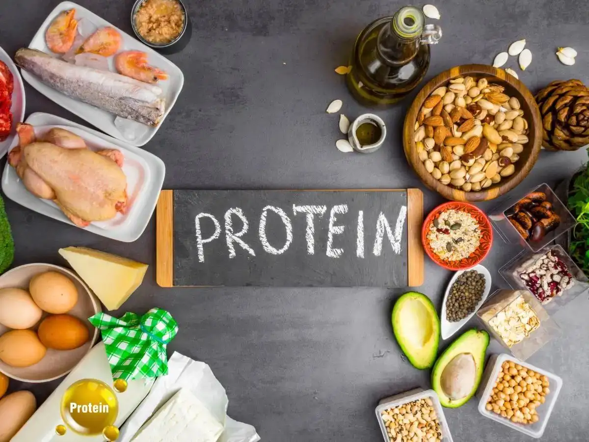 Chế độ dinh dưỡng giàu protein cho người tập gym