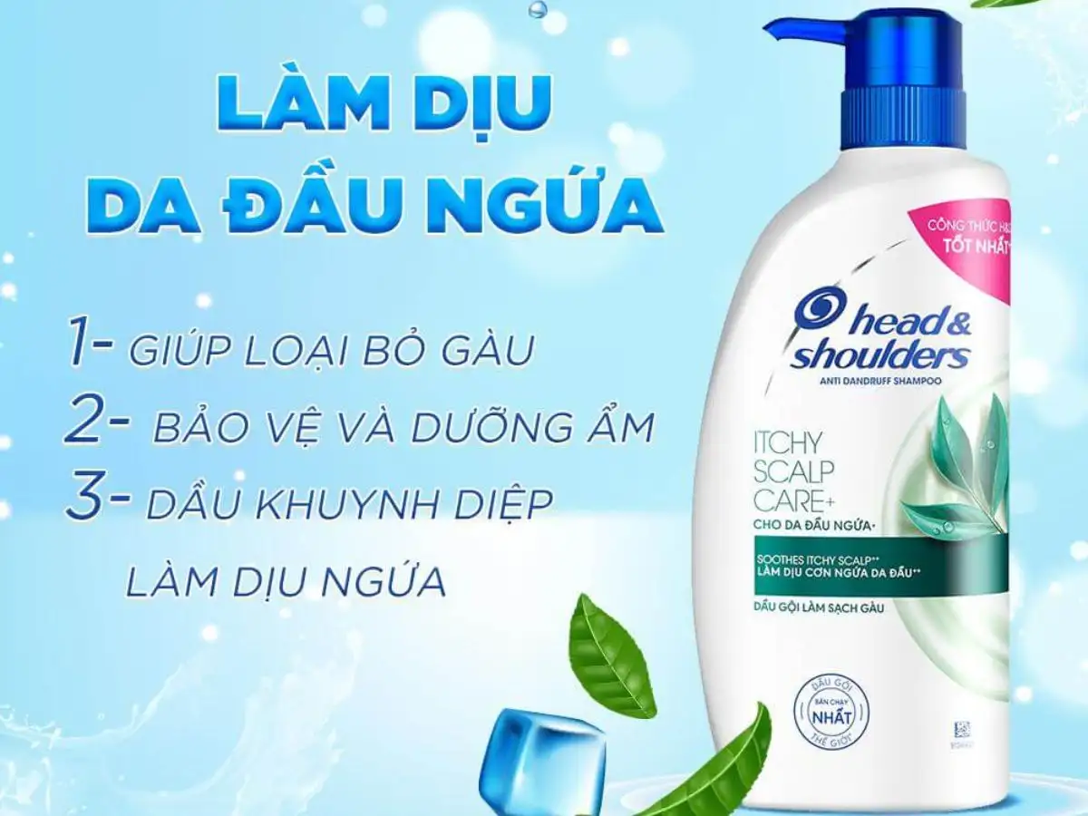 Chọn loại dầu gội phù hợp với da đầu và tình trạng tóc