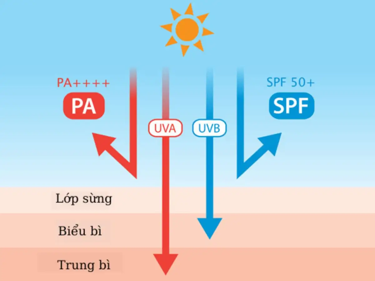 PA (Protection Grade of UVA) là gì? Vì sao PA lại quan trọng không kém SPF?