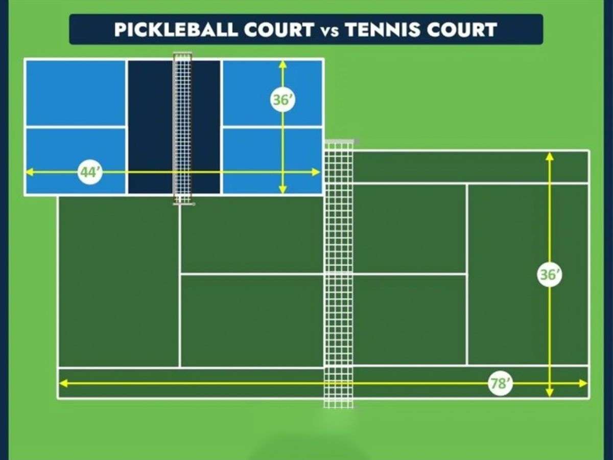So Sánh Sân Pickleball Với Sân Tennis & Cầu Lông