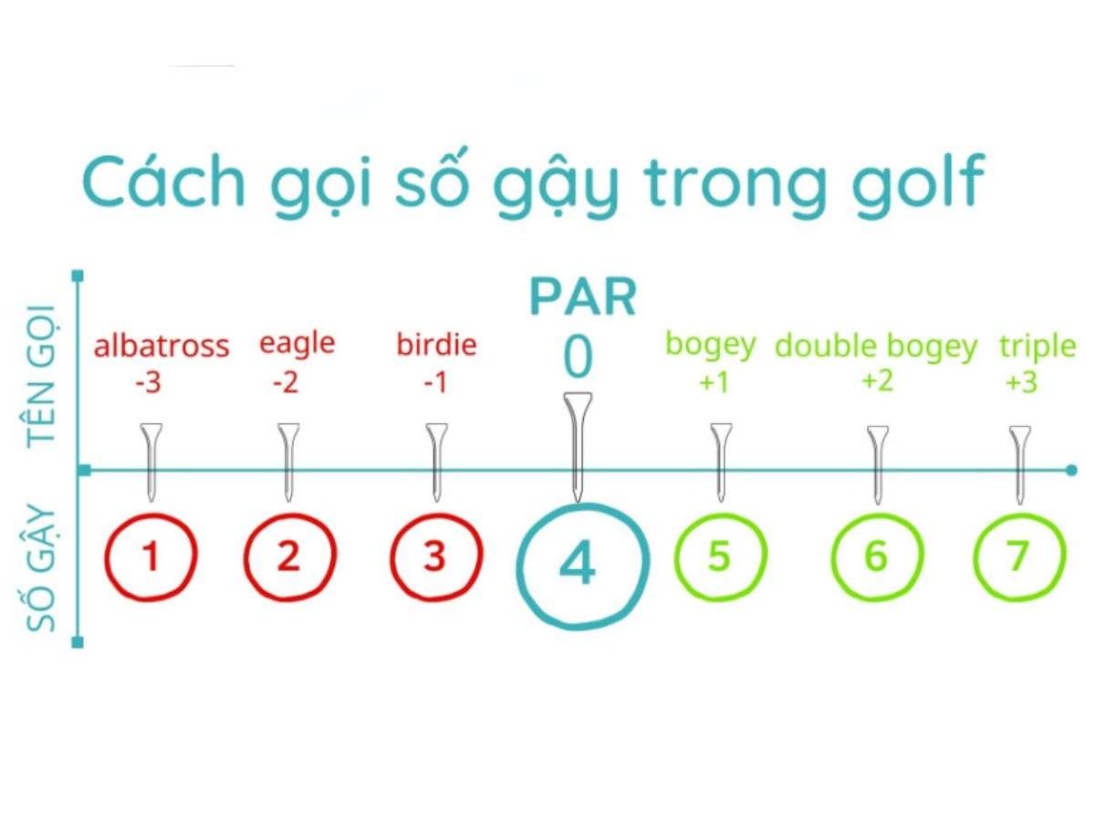 Các thuật ngữ điểm golf cơ bản giúp người chơi dễ dàng theo dõi kết quả