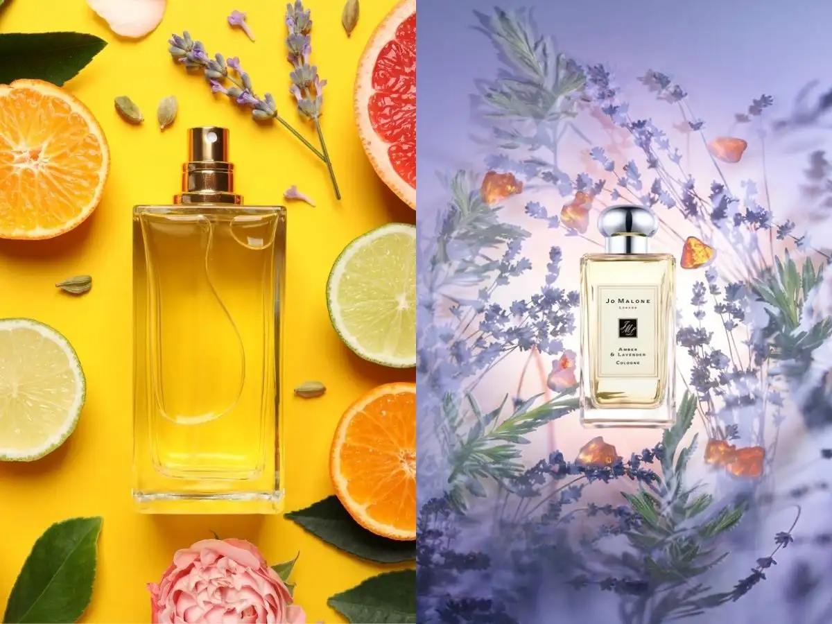 Nhóm hương Citrus và Aromatic phù hợp với môi trường công sở