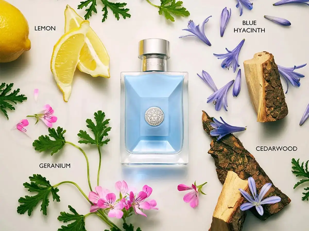 Versace Pour Homme mang đến cảm giác tươi sáng và thanh lịch ngay từ những nốt đầu