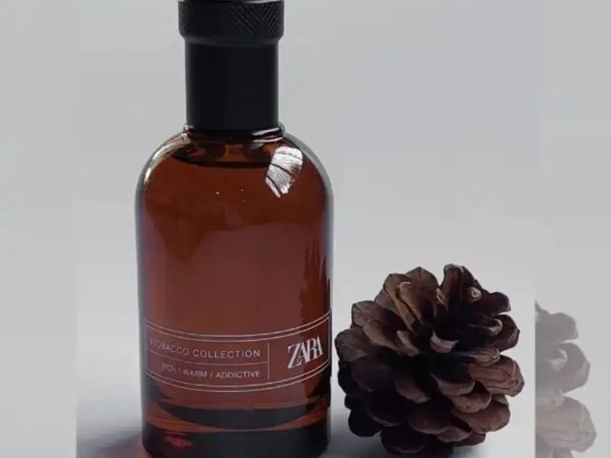 Nước hoa Zara nam có thật sự đáng mua?
