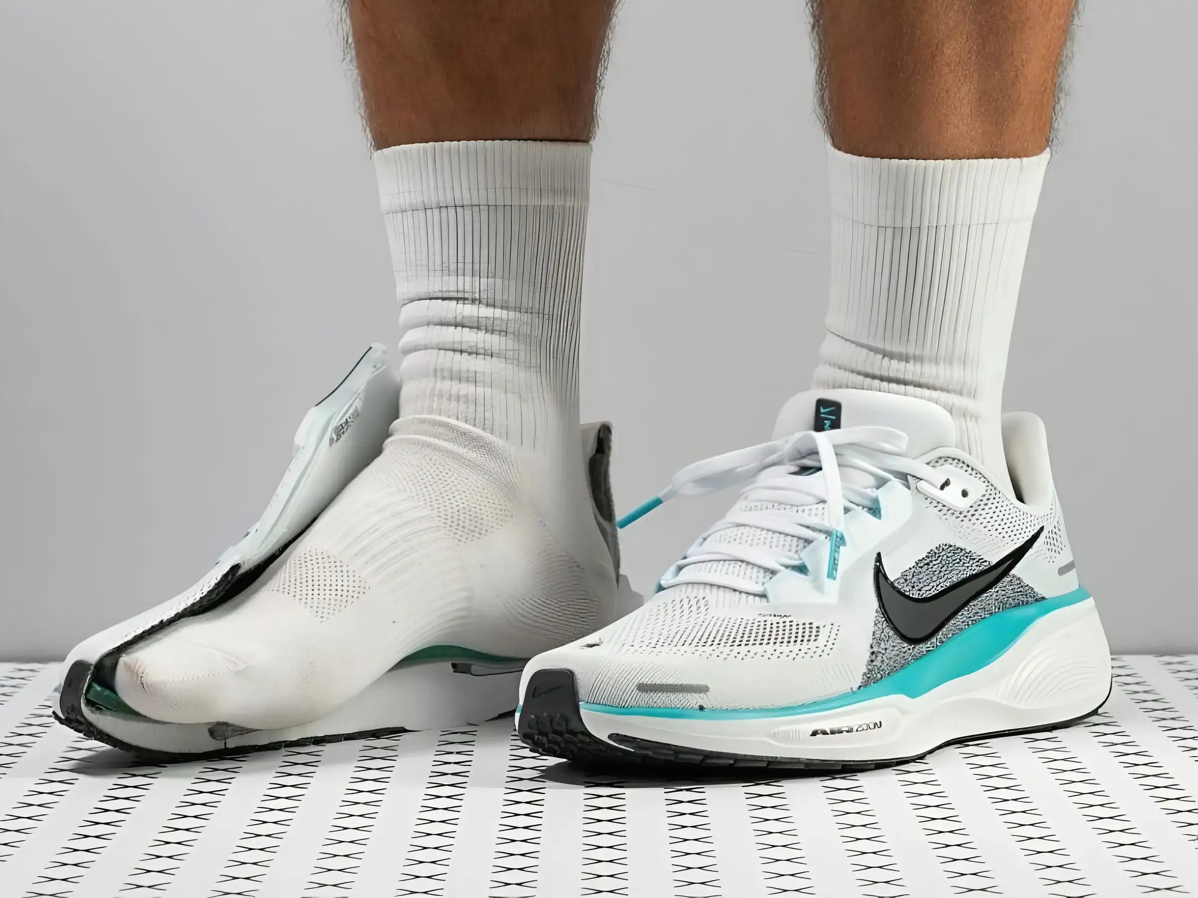 Giày Nike Pegasus