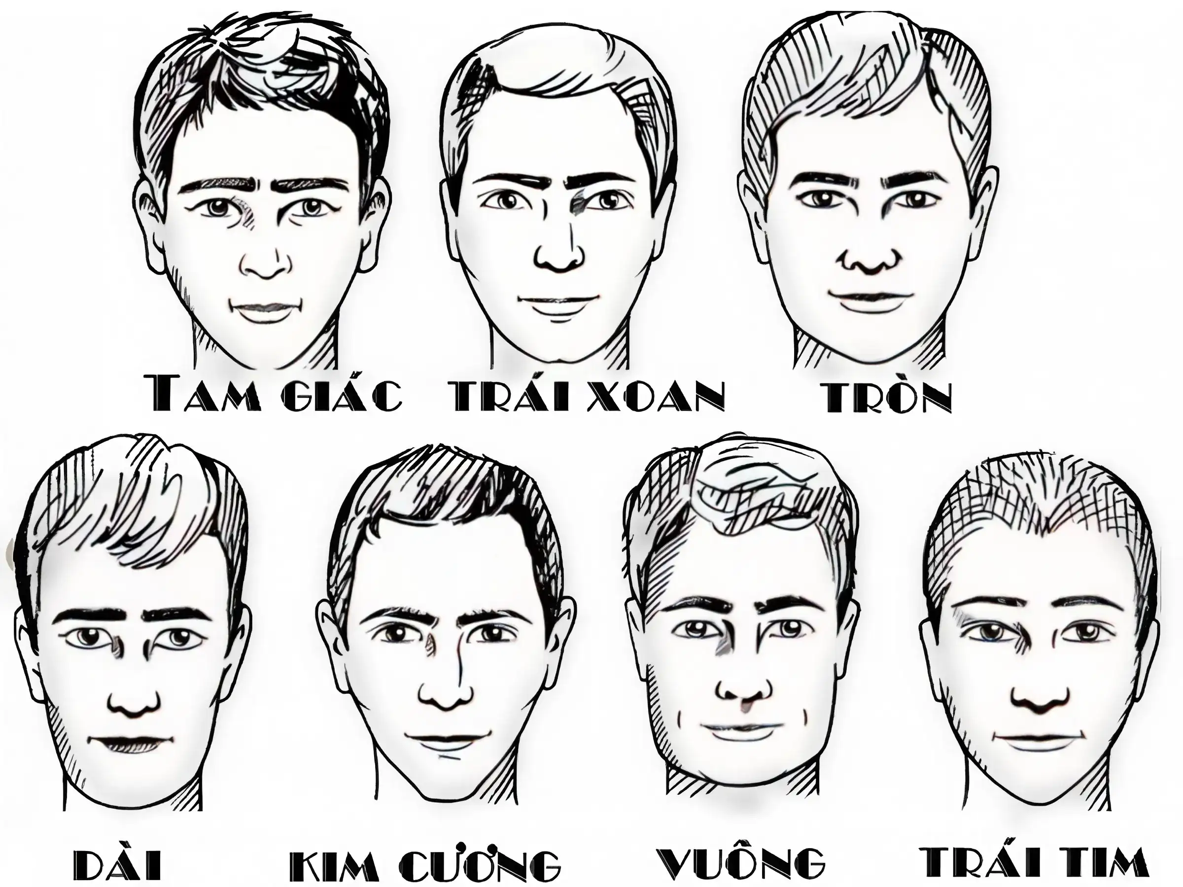 Dạng khuôn mặt