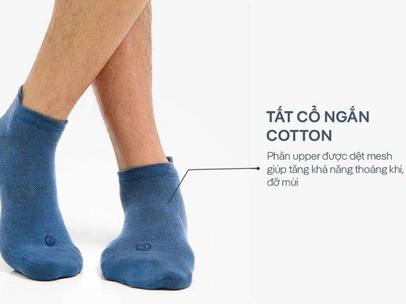 Tất/vớ cổ ngắn Cotton thoáng khí coolmate