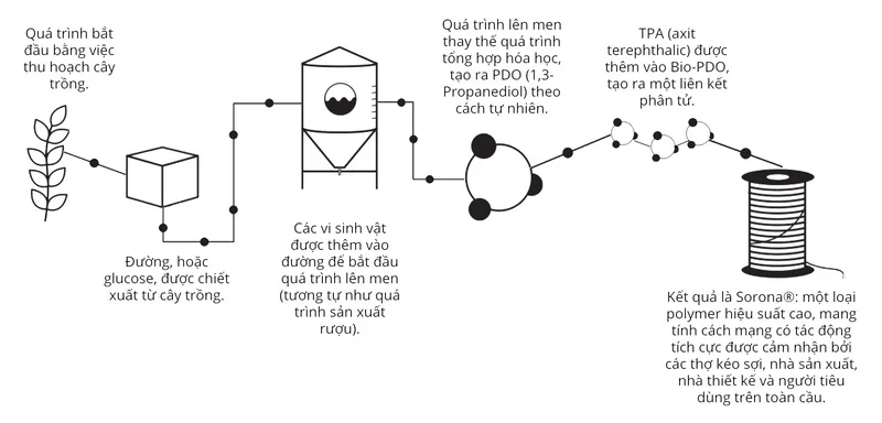 Quy trình của công nghệ nhuộm không nước cleandye