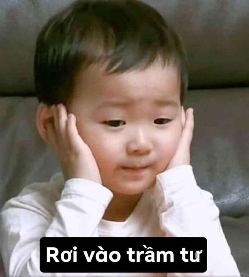 7749 Meme Bất Lực Cực Hài Hước Cho Dân Cào Phím Coolmate