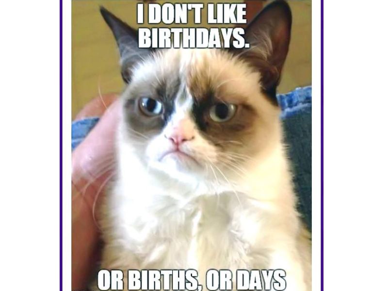 Tôi chẳng ưa “sinh nhật”. Hoặc “sinh”, hoặc “nhật”