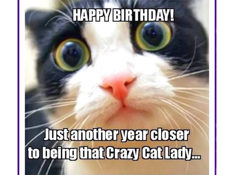 Chúc mừng sinh nhật! Lại thêm 1 năm gần hơn với danh diệu Quý Mèo Điên